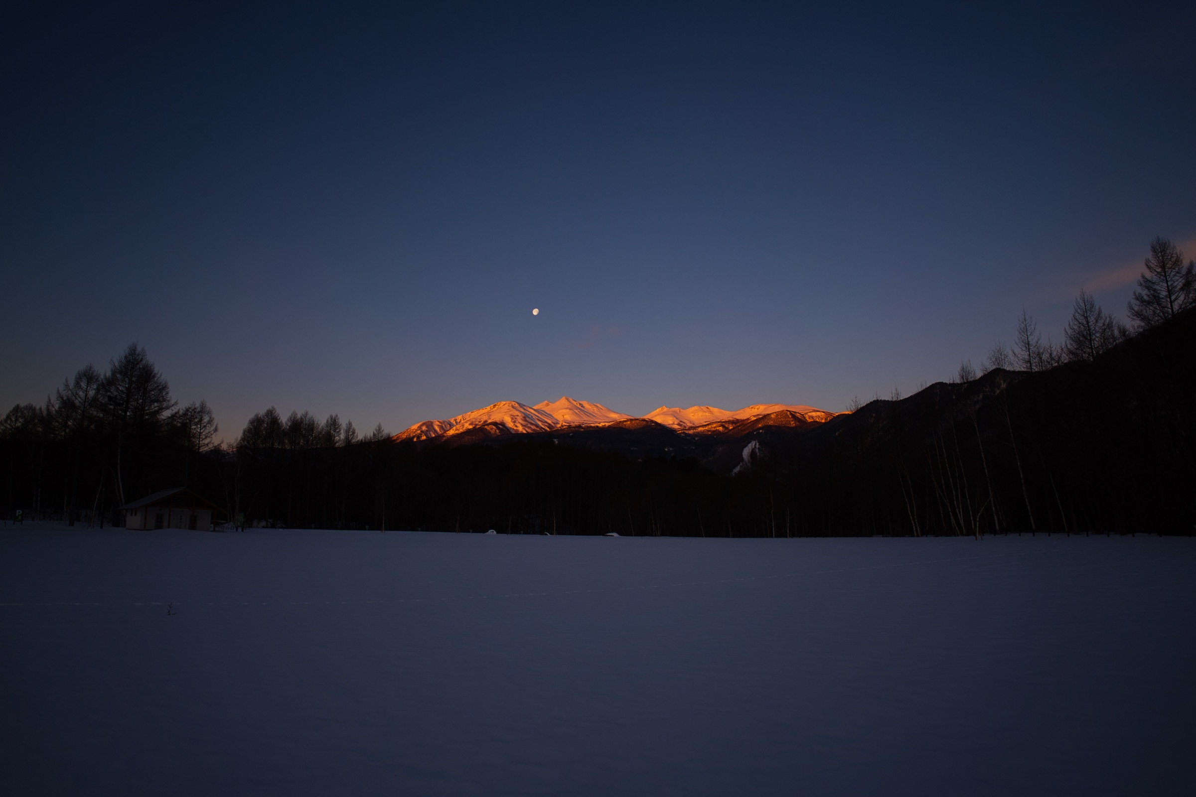 朝焼けに染まる乗鞍岳と雪原